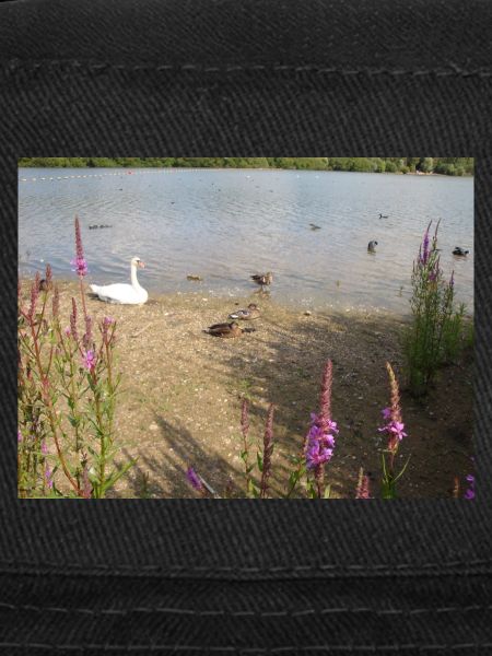 CANARD DANS UN LAC