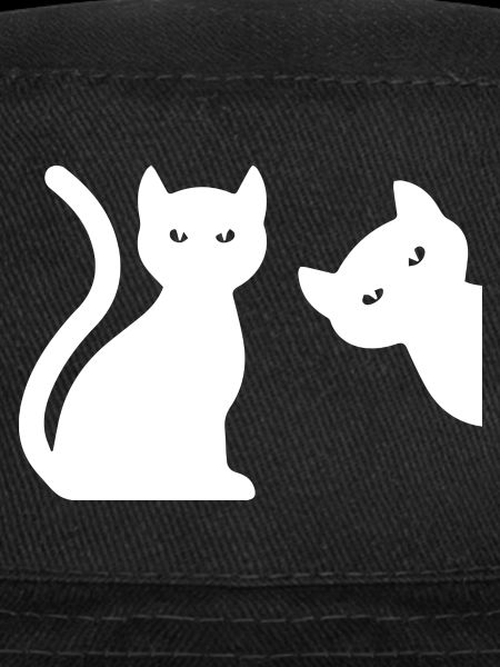 Cat Katze