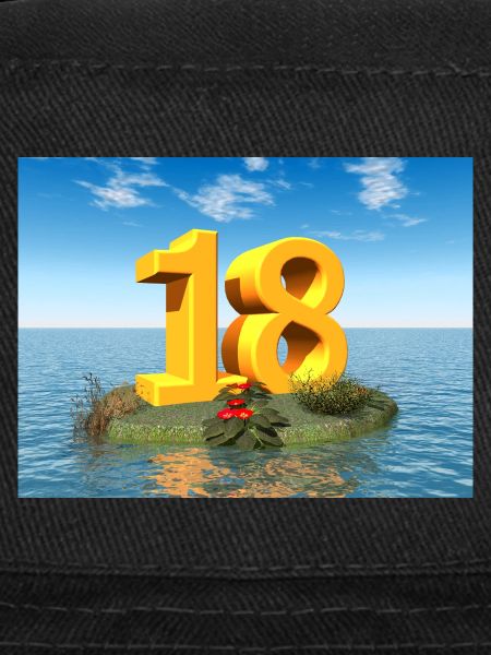 Année 18