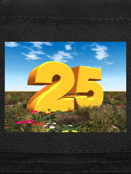 Year 25