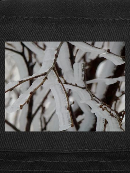 Ice on branches