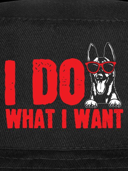 Malinois Berger Belge Malines Chien