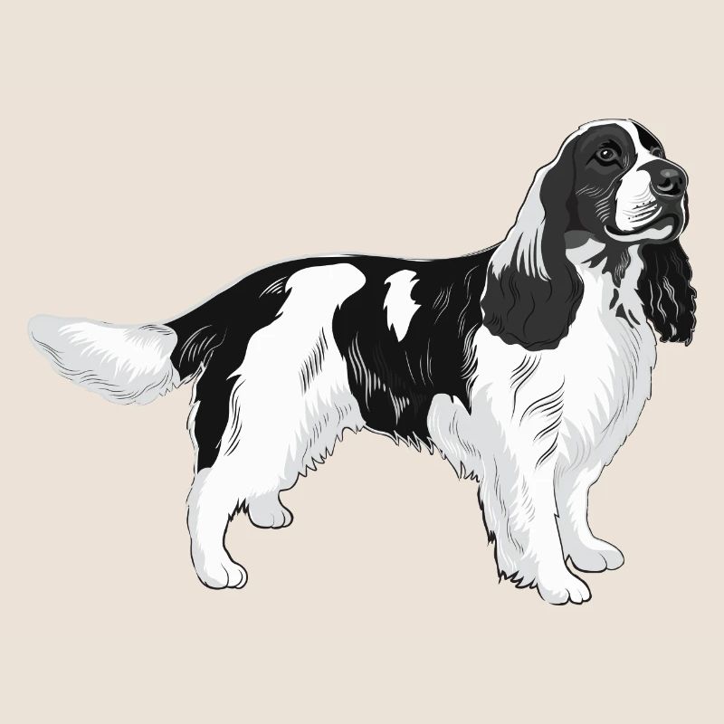 English Springer Spaniel Dog Gift