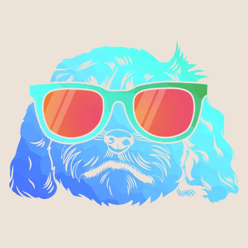 Cockapoo Chien