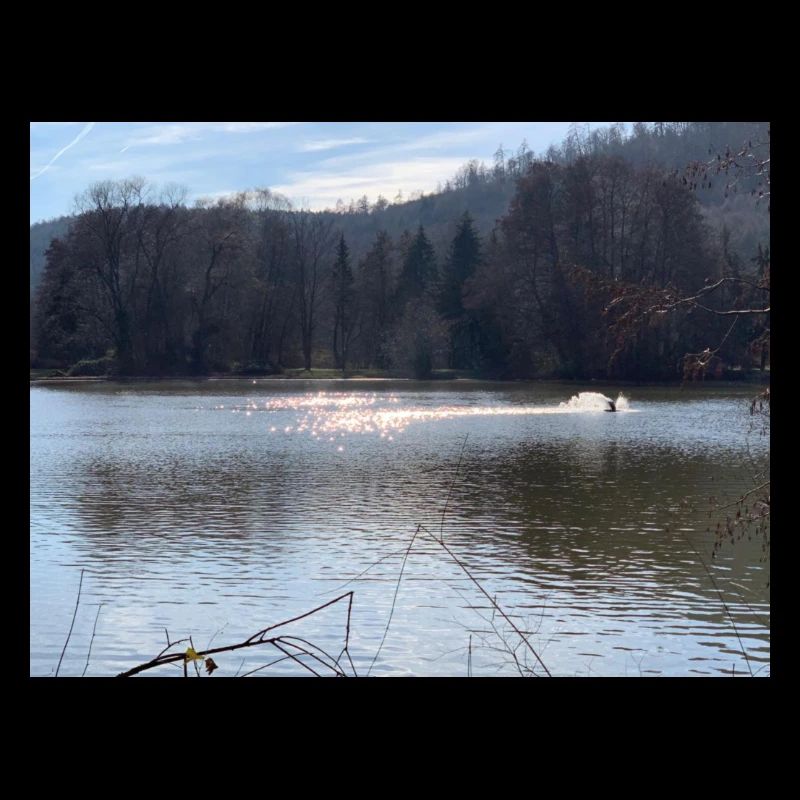 wasser nature