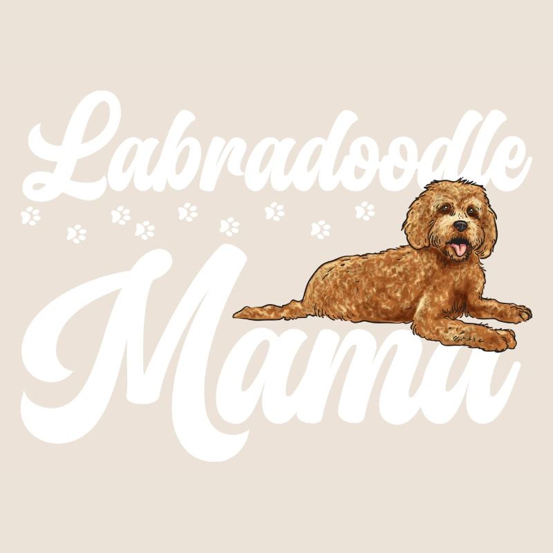 Labradoodle Chien