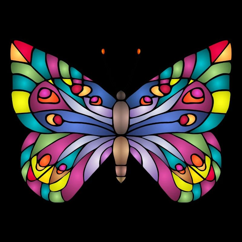 Bunter Schmetterling