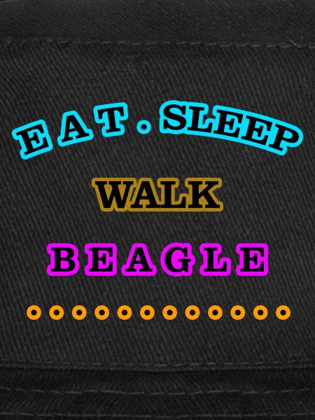 Manger, dormir, marcher, Beagle
