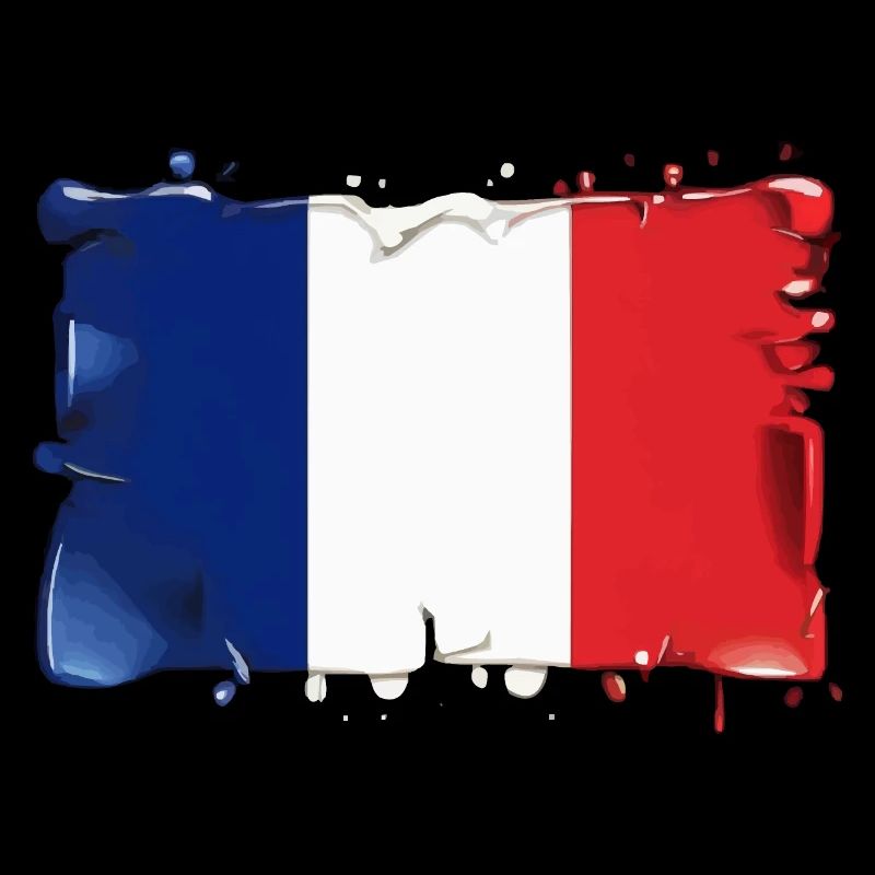 DRAPEAU DRAPEAU DE LA FRANCE