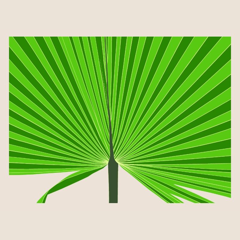Tropical palm tree