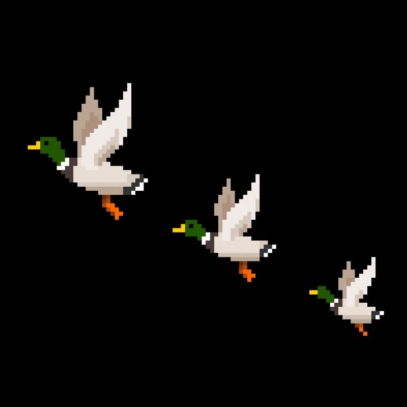 Flying Ducks