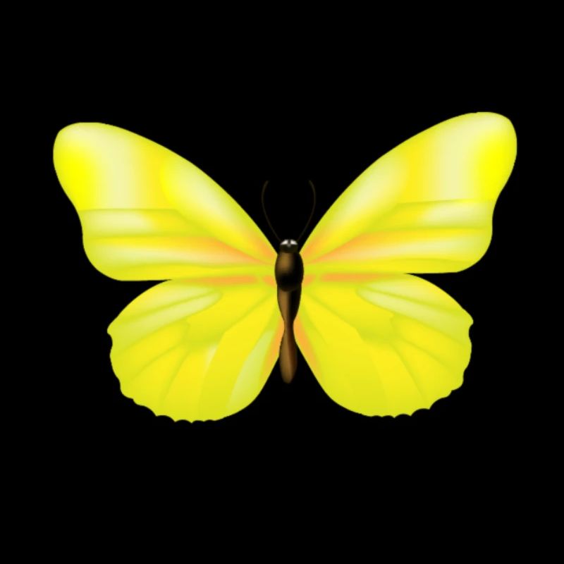 Schmetterling