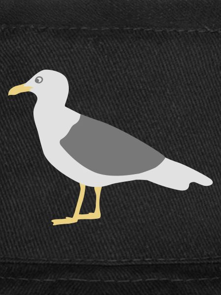 seagull mouette