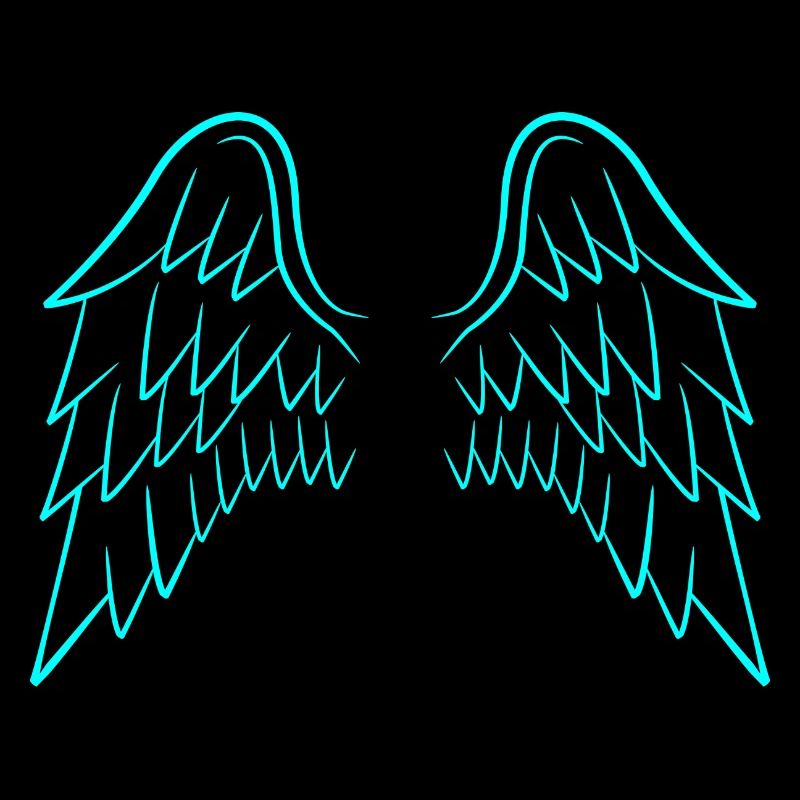Ailes d'ange ailes
