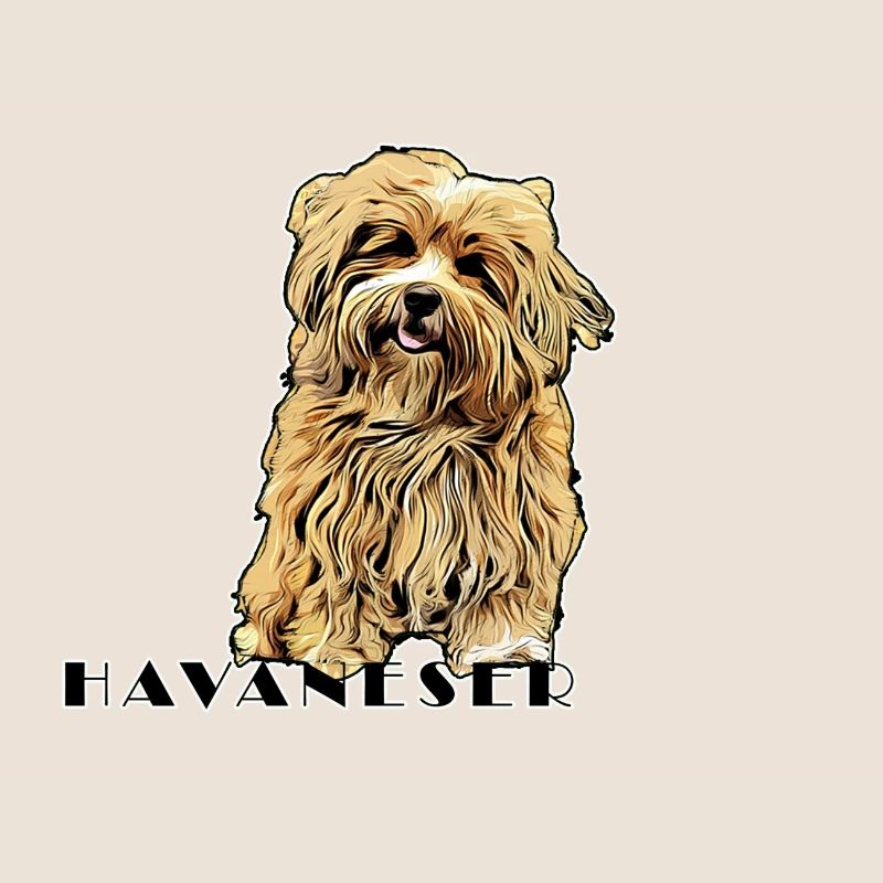 Havanese Comic Text2