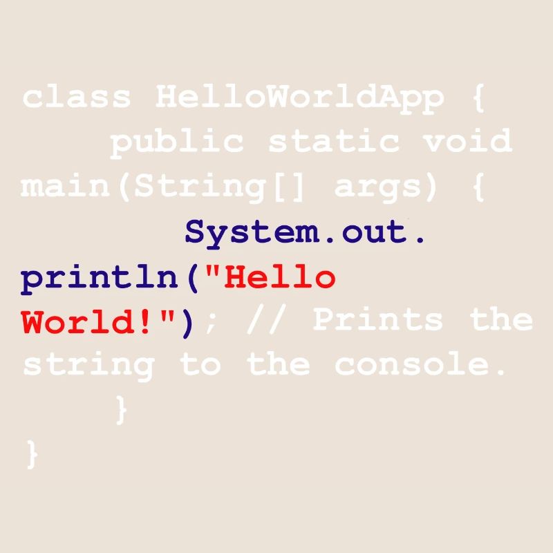 Programmer Coder Software Developer