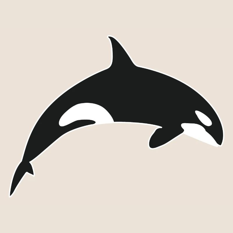 Killer Whale Orca Killer Whale