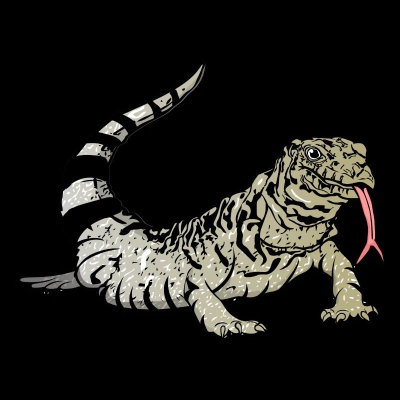 Lézard Tegu Herpétologiste