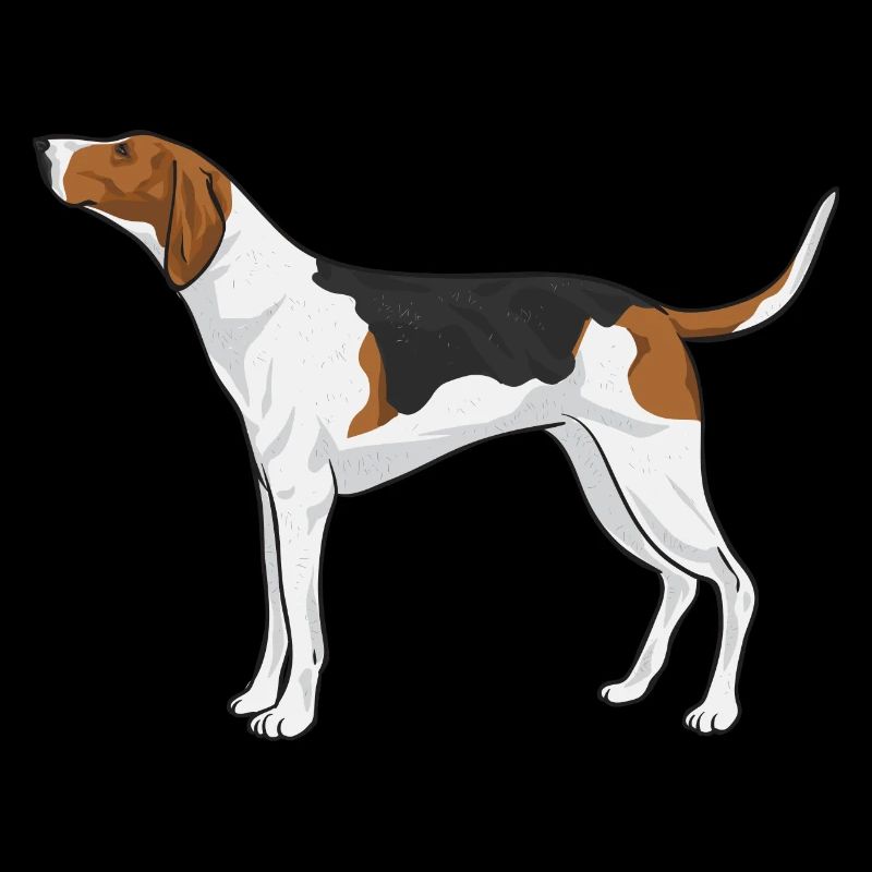 Arboriculture Walker Coonhound