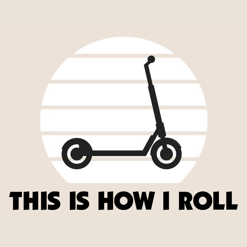 E-Scooter Roller Scooter