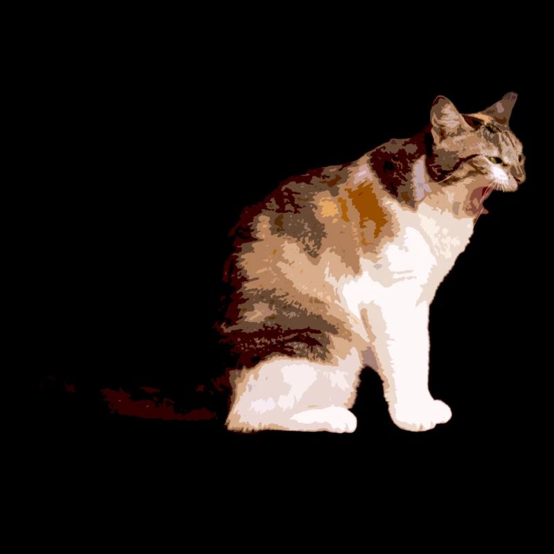 Die Katze