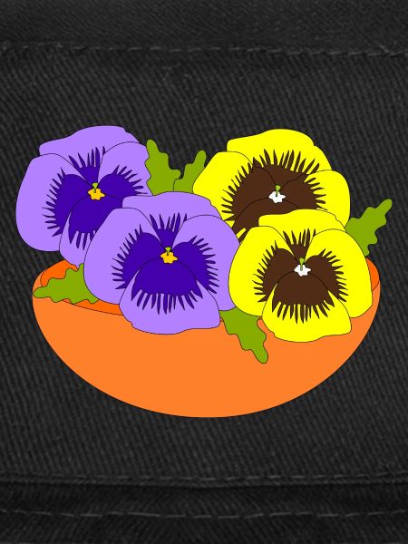 Pansy