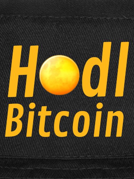 Hodl Bitcoin