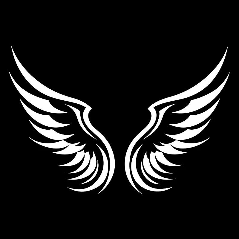 Silhouette de symbole d’ailes