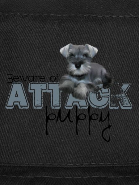 Schnauzer Attaque