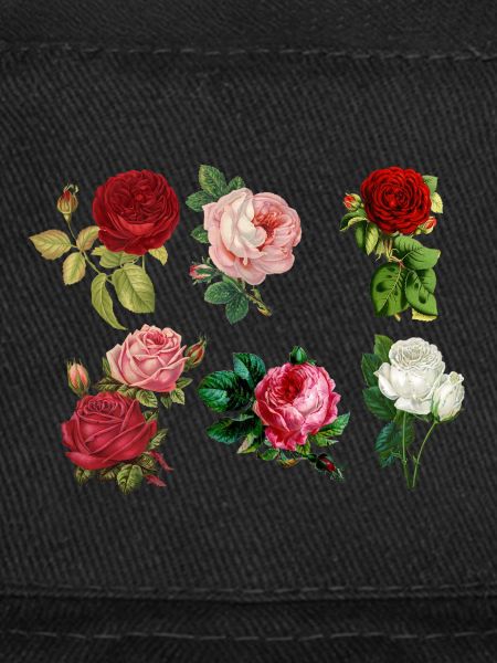 Painted roses
