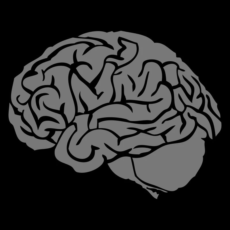 brain brain