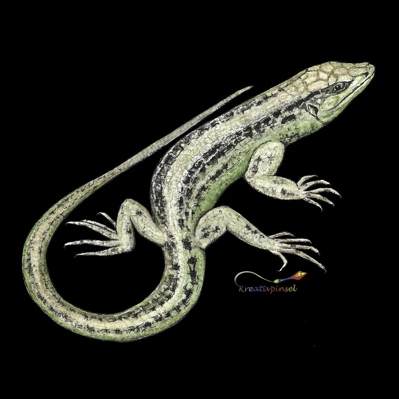 Sand lizard