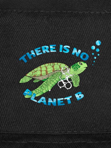 No planet B turtle