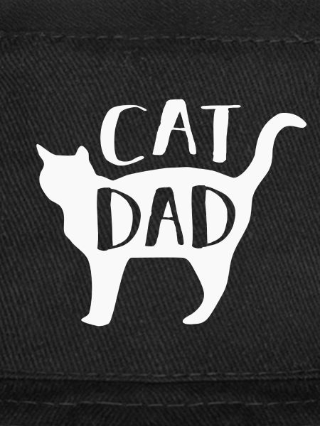 Chats Chats