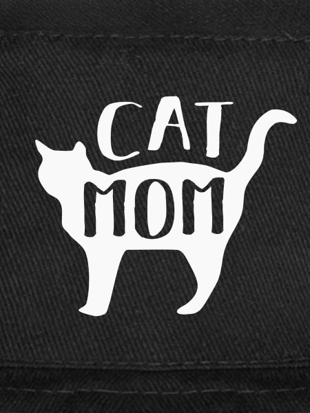 Chats Chats
