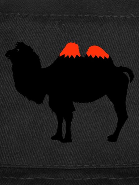 Silhouette de chameau