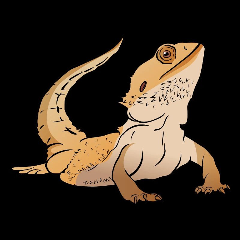 Bearded Dragon Lizard Reptile Herpetologist