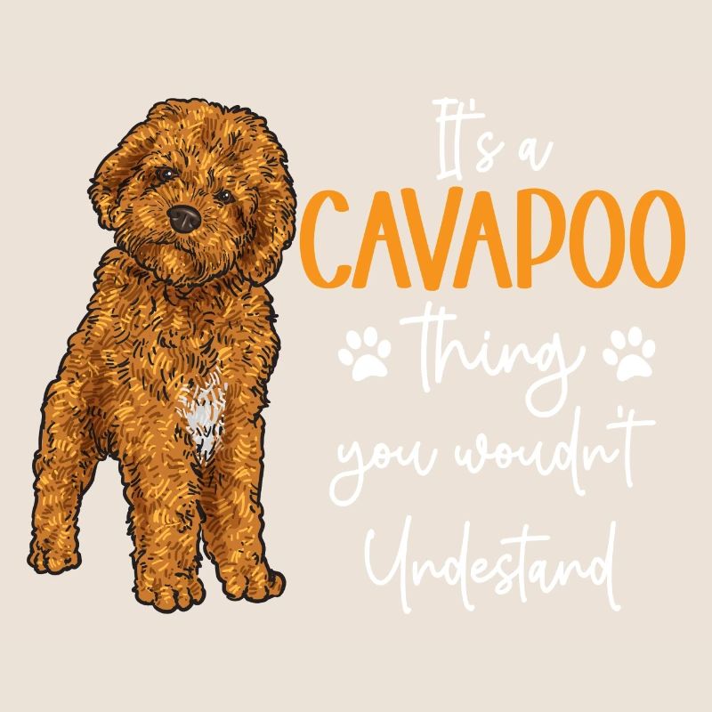 Cavapoo Cavoodle Capoodle Hund
