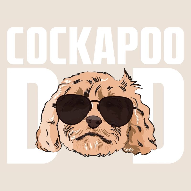 Cockapoo Hund