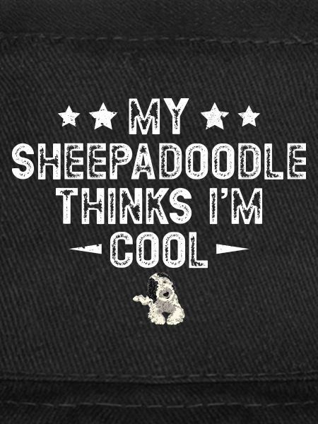 Sheepadoodle Doodle Dog