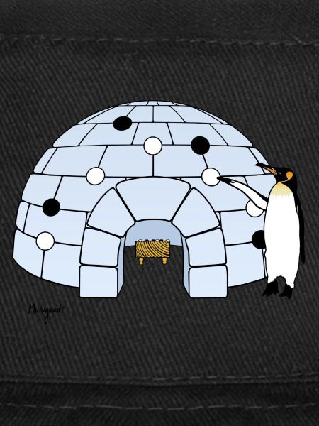 Iglo Go