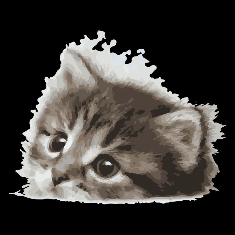 Baby Katze