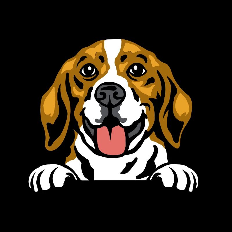 Beagle dog