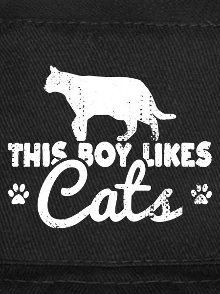Ce garçon aime les chats