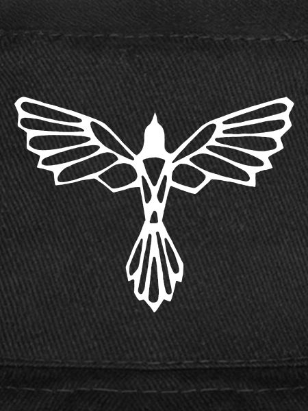 L'envol de l'oiseau blanc