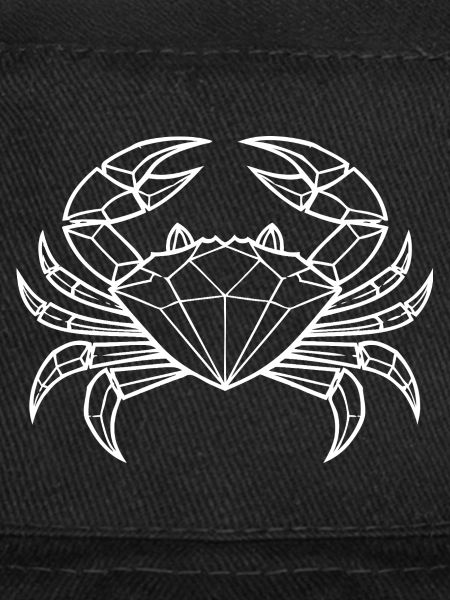 Cancer – Protection et force