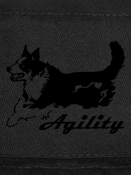 Agilité