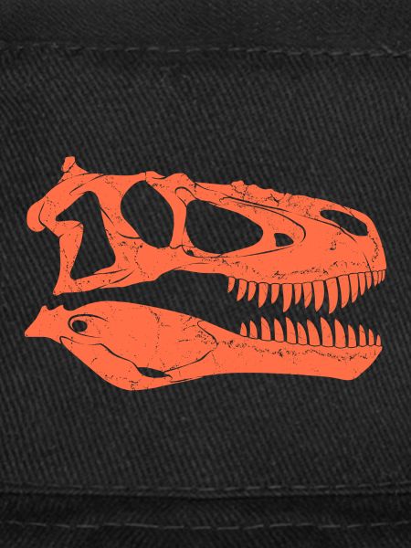 Daspletosaurus fossil skull