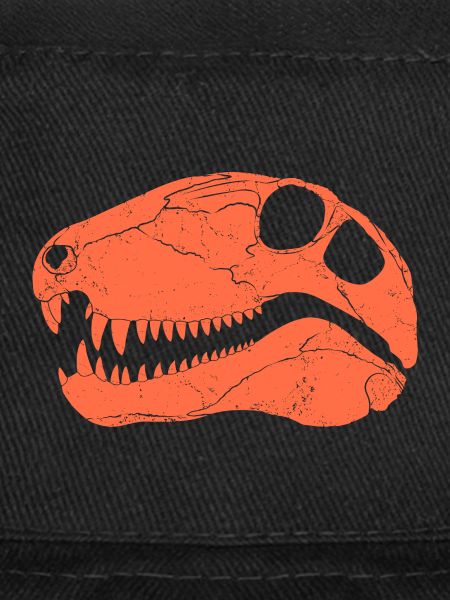 Dimetrodon fossil skull