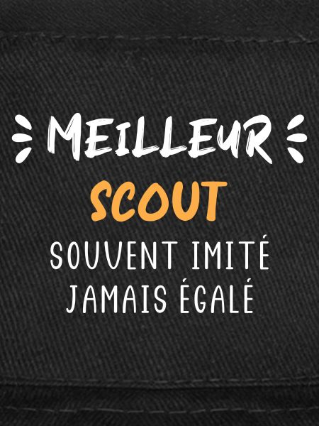 Meilleur scout